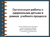 Презентация Организация работы с одаренными детьми в рамках учебного процесса