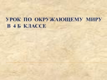 Презентация по окружающему миру на темуПриродные зоны России. Пустыни (4 класс)