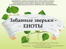 Презентация - Творческий проект Забавные зверьки – ЕНОТЫ
