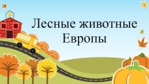 Презентация по экологии на тему Лесные животные Европы