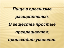Пищеварение