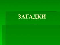 Презентация. Загадки Здоровый Образ Жизни