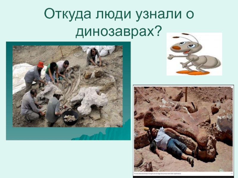 Как появилась одежда Откуда люди узнали о динозаврах? Откуда люди узнали о динозаврах?