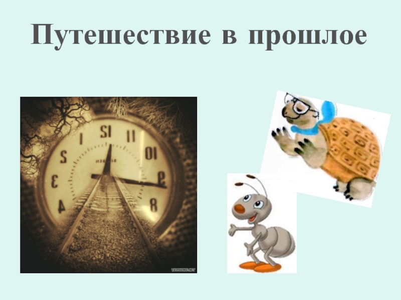 Как появилась одежда Путешествие в прошлое Путешествие в прошлое