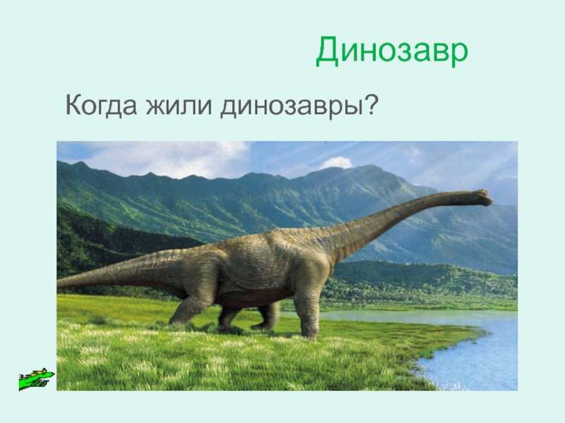 Как появилась одежда Динозавр Когда жили динозавры? Динозавр Когда жили динозавры?