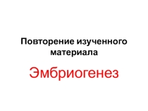 Презентация по теме Повторение темы Эмбриогенез
