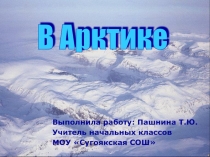 Арктика