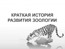 Презентация по биологии Краткая история развития зоологии