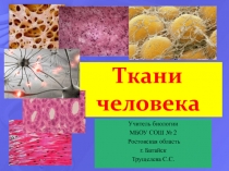 Презентация по теме Ткани человека для 8 класса