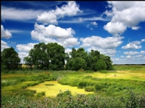 Презентация о Конституции России, Крыма.