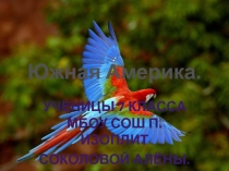 Презентация по географии на тему