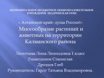 Презентация окружающий мир  Многообразие животного и растительного мира Калманского района