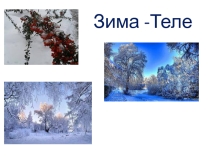 Презентация по эрзянскому языку на темуНовый год