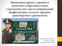 Пропаганда правил дорожного движения