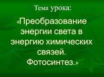 Преобразование энергии света в энергию химических связей. Фотосинтез