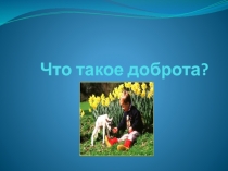 Презентация к внеклассному мероприятию:  Что такое доброта?