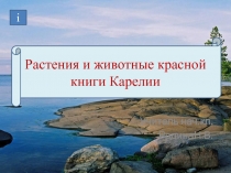 Презентация по окружающему миру Растения и животные Красной книги Карелии