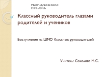 Презентация и выступление на ШМО классных руководителей