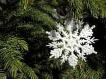 Презентация по русскому языку.Изложение-повествование Сказка о снежинках(4 класс)