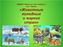 Презентация к итоговому мероприятию проекта Животные жарких и холодных стран в старшей группе