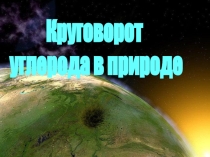 Презентация по биологии на тему Круговорот углерода в природе (11 класс)