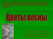 Презентация по окружающему миру. Проект Цветы весны