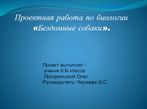 Проект