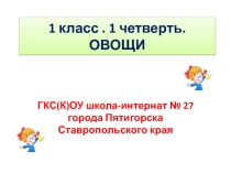 Тема Овощи. Развитие слухового восприятия и формирование произносительной стороны речит