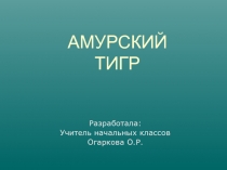 По страницам Красной книги. Амурский тигр