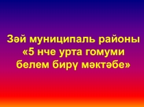 Использование наследия Р. Фахреддина на уроках татарского языка