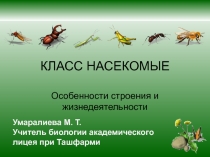 Класс насекомые