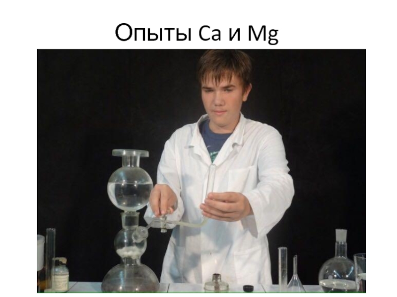 Презентация по химии для 9 класса на тему Роль металлов и их соединений в природной среде и в живых организмах (биогены и загрязнители) Опыты Ca и Mg Опыты Ca и Mg