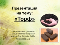 Презентация к уроку по естествознанию для 6 класса на тему Торф