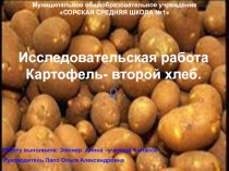Исследовательская работа. Картофель-второй хлеб.