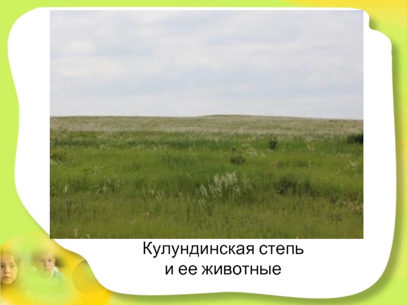 Презентация для детей старшего дошкольного возраста Степные животные Алтайского края Кулундинская степь и ее животные Кулундинская степь и ее животные