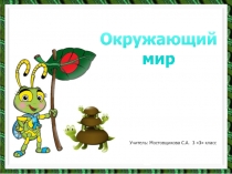 Презентация по окружающему миру Разнообразие животных