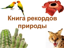 Презентация по окружающему миру Книга рекордов природы (2 класс)