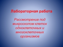 Клетки