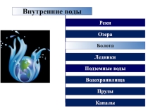 Болота(6 класс)