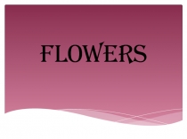 Презентация к уроку английского языка в 5 классе Цветы