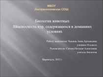 Исследовательская работа по биологии Яйценоскость кур