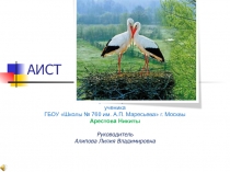 Презентация к уроку окружающего мира Аисты 2 класс