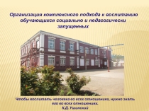 Организация комплексного подхода к воспитанию обучающихся социально и педагогически запущенных