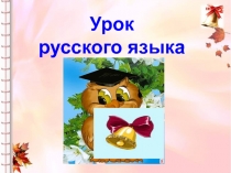 Правописание гласных в корне слова