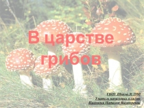 Презентация по окружающему миру на тему В царстве грибов (3 класс)