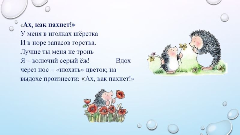 Артикуляционная гимнастика для правильного произношения свистящих звуков С, З, Ц «Ах, как пахнет!» У меня в иголках шёрстка «Ах, как пахнет!» У меня в иголках шёрстка