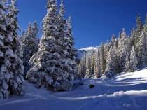 Имя прилагательное как часть речи