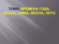 Презентация зятия на тему Времена года