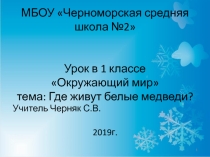 Презентация к уроку по окружающему миру на тему Где живут белые медведи?