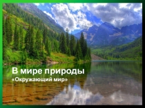 Презентация для обобщающего урока окружающего мира В мире природы